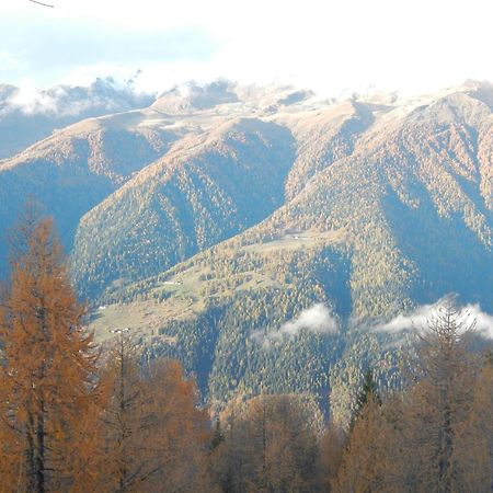 Villetta Val Di Sole Commezzadura Dış mekan fotoğraf