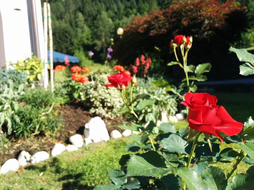 Villetta Val Di Sole Commezzadura Dış mekan fotoğraf