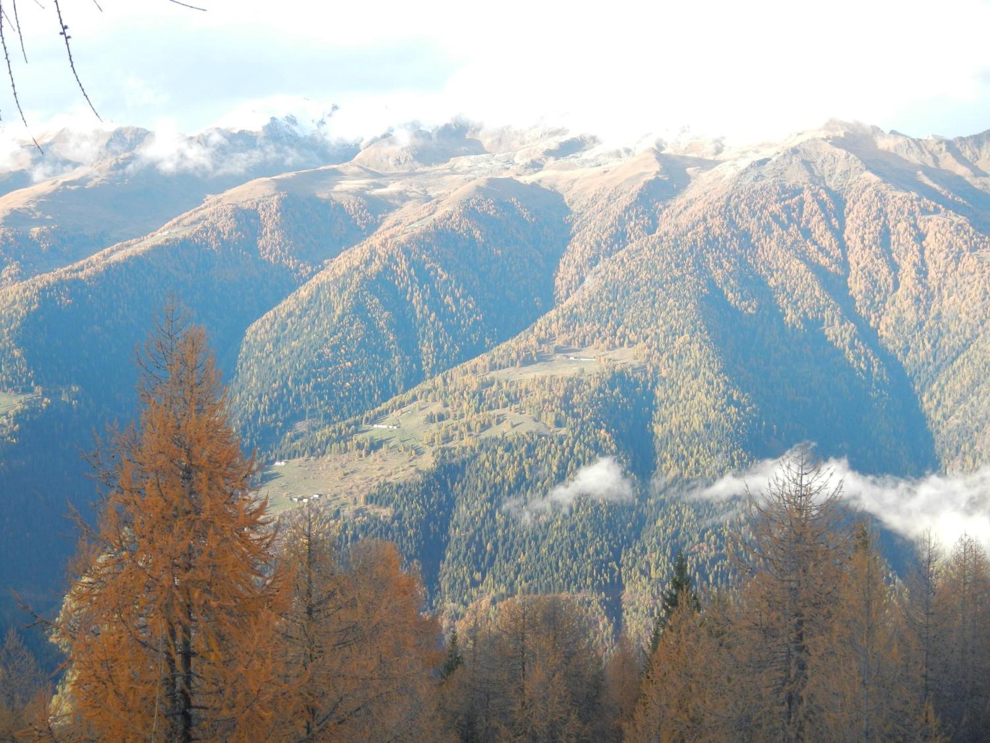 Villetta Val Di Sole Commezzadura Dış mekan fotoğraf